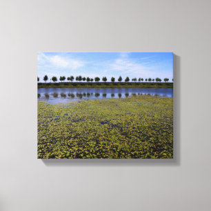 Landscape Waterscape Canvas Print
