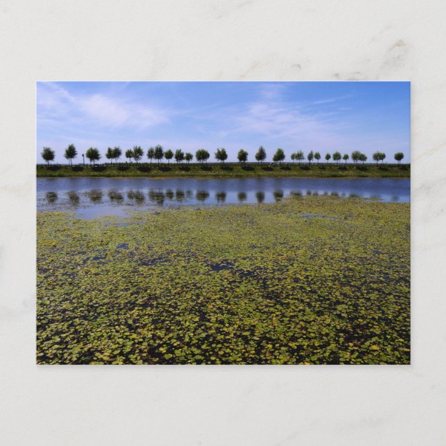 Landscape Waterscape Postcard (Front)