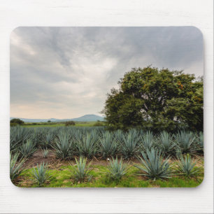 Landscape With Blue Agave Mouse Mat