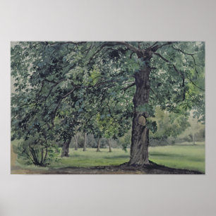 Landscape with Chestnut Tree in the Foreground Poster
