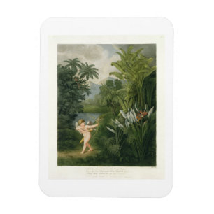 Landscape with Cupid aiming an arrow at a Parrot o Magnet