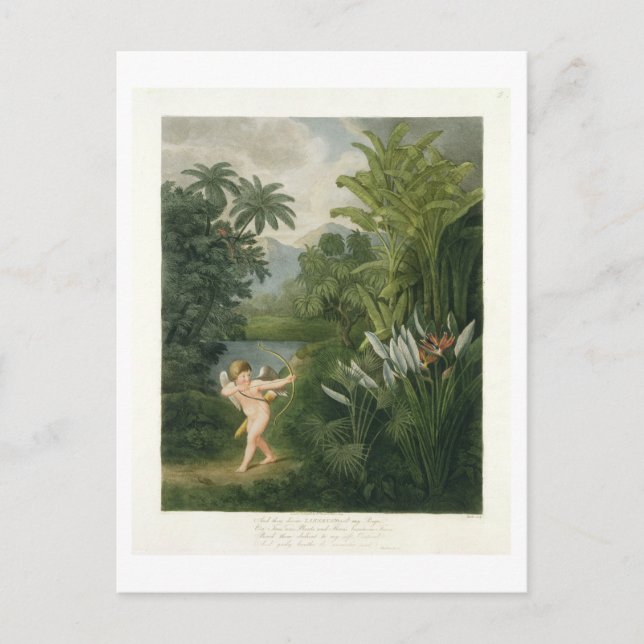 Landscape with Cupid aiming an arrow at a Parrot o Postcard (Front)