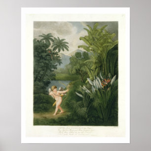 Landscape with Cupid aiming an arrow at a Parrot o Poster