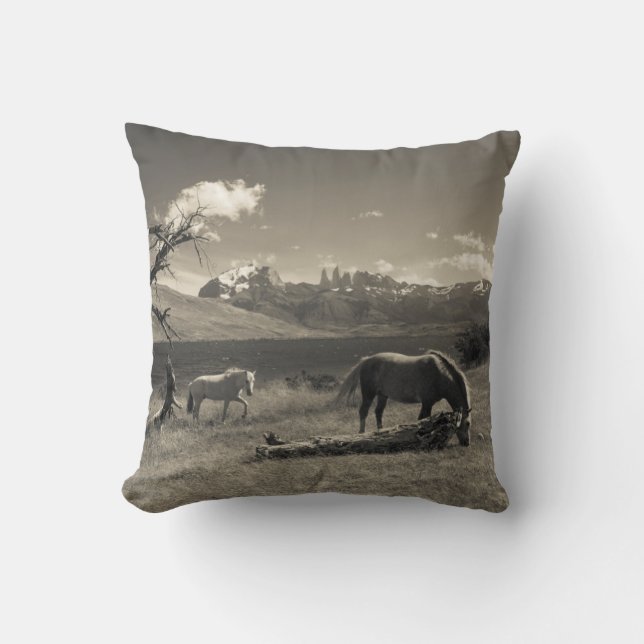 Landscape with horses cushion (Front)