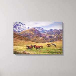 Landscape with horses in Georgian mountains Canvas Print