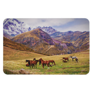 Landscape with horses in Georgian mountains Magnet