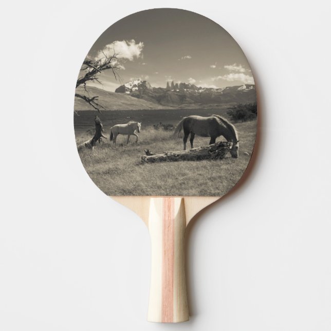Landscape with horses ping pong paddle (Front)