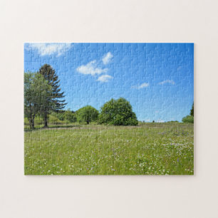 Landscape with meadow  - jigsaw puzzle