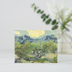 Landscape with Olive Vincent Willem van Gogh Postcard