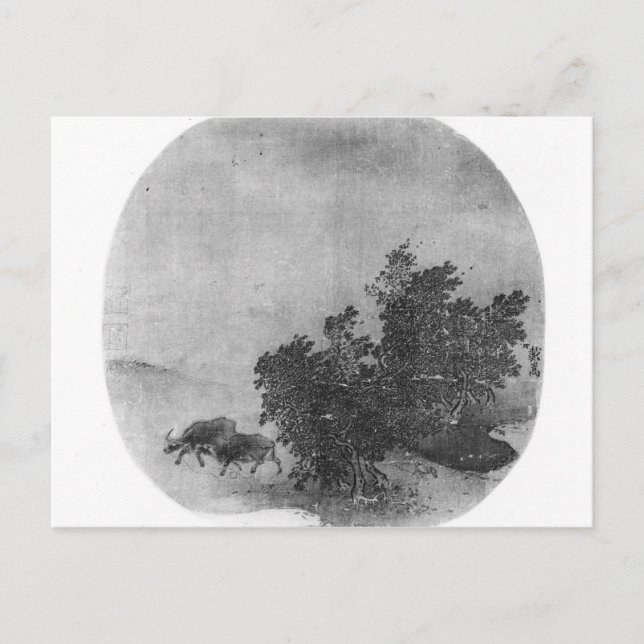 Landscape with water buffalo, Song Dynasty Postcard (Front)