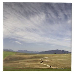 Landscape with wheat fields, Grabouw, Western Tile