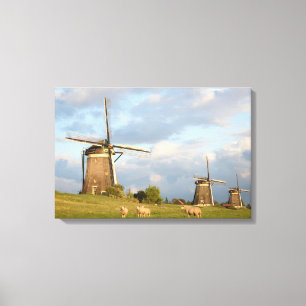 Landscape with windmills and sheep canvas print