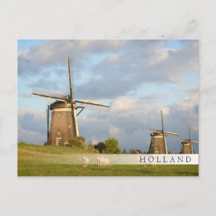 Landscape with windmills and sheep postcard