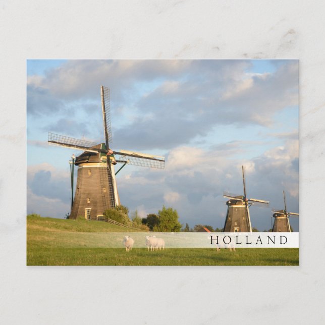 Landscape with windmills and sheep postcard (Front)
