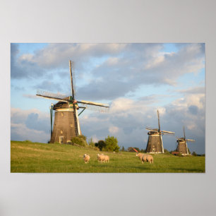 Landscape with windmills and sheep poster