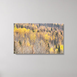 Landscape Yellow Orange Alaska Autumn Canvas Print