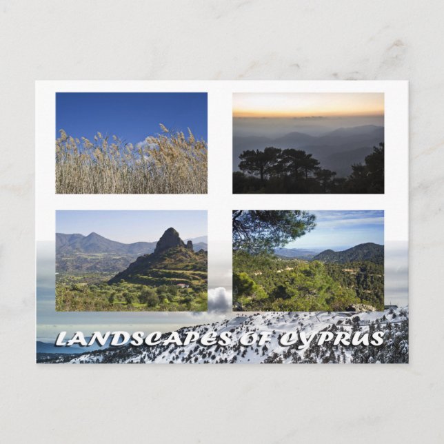 Landscapes of Cyprus postcard (Front)