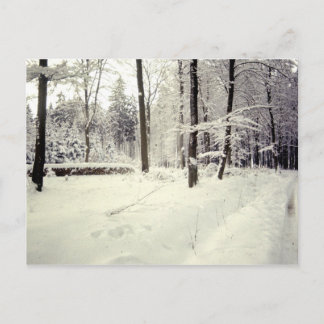 Landscapes Postcard