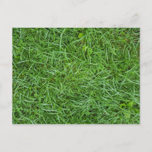 landscaping business grass macro announcement postcard