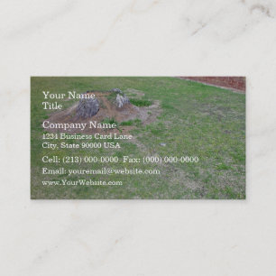 Landscaping Ideas to Cover a Tree Stump Business Card