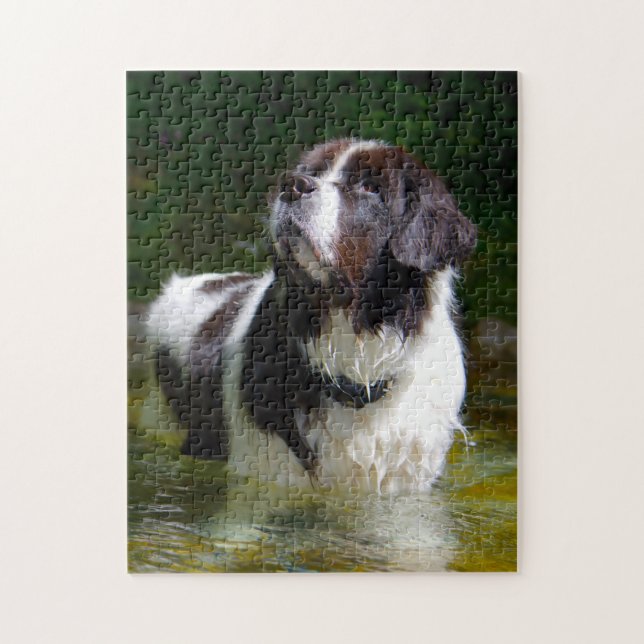 Landseer Dog. Jigsaw Puzzle (Vertical)