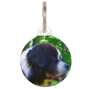 Landseer Dog. Pet Tag