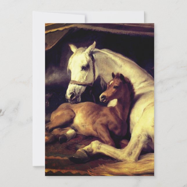 Landseer Horses Invitation (Front)