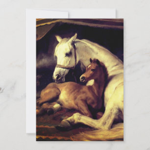 Landseer Horses Invitation