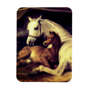 Landseer Horses Magnet
