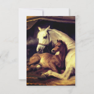 Landseer Horses RSVP Card