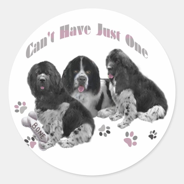 LANDSEER NEWFOUNDLAND CAN'T HAVE JUST ONE CLASSIC ROUND STICKER (Front)