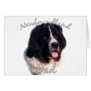 Landseer Newfoundland Dad 2, Newfie Dad, Newf Dad