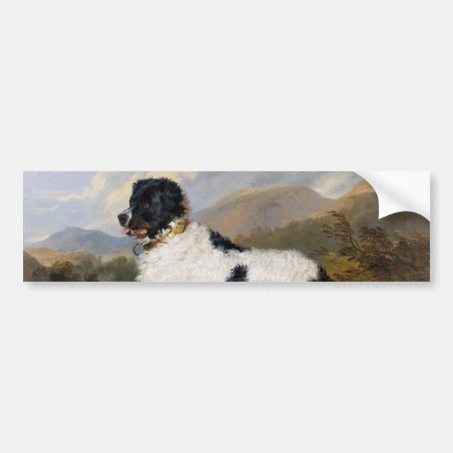 Landseer Newfoundland Dog (Black and White Animal) Bumper Sticker (Front)