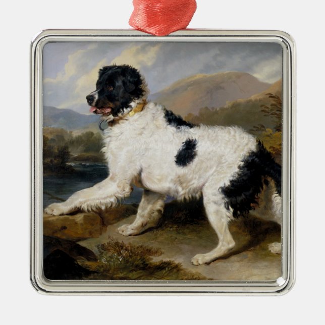 Landseer Newfoundland Dog (Black and White Animal) Metal Tree Decoration (Front)