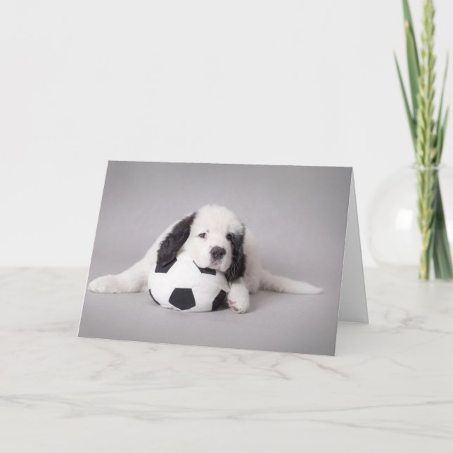 Landseer puppy card (Front)