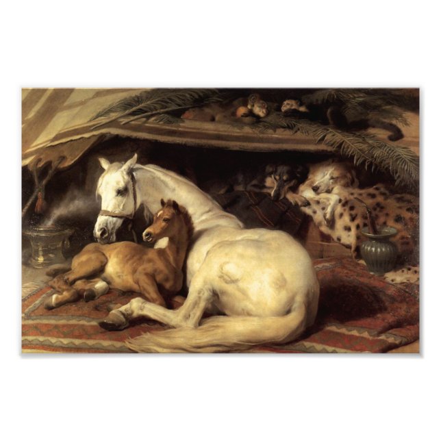 Landseer The Arab Tent Photo Print (Front)