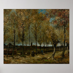 Lane with Poplars near Nuenen - Van Gogh - c1885 Poster