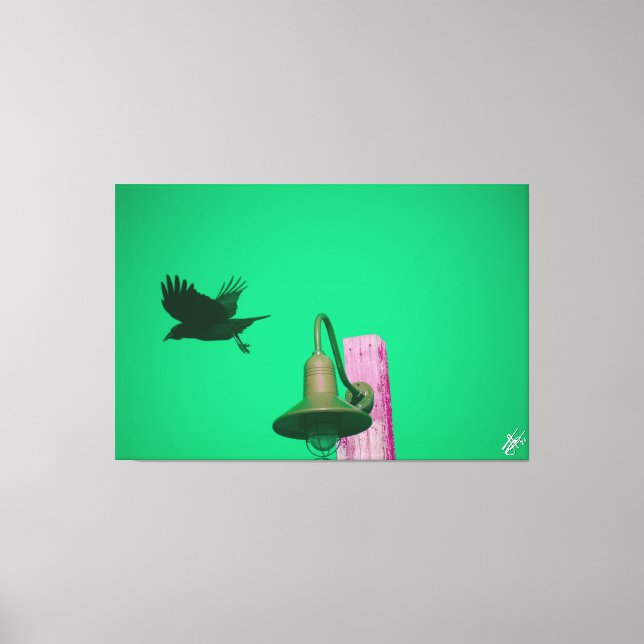 Langley Crow on Light Post Series #7 Canvas Print (Front)