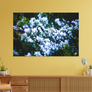 Langley Waterfront #11 Canvas Print