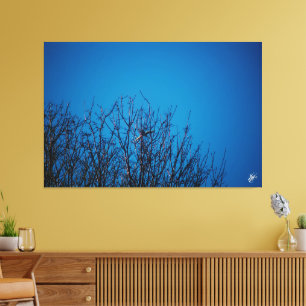 Langley waterfront #8 canvas print