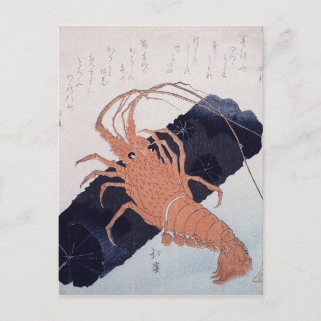 Langoustine with a Block of Charcoal, c.1830 Postcard (Front)