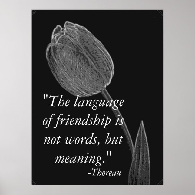 Language Of Friendship Poster. Poster (Front)