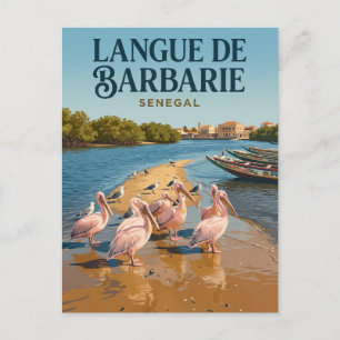 Langue de Barbarie National Park Senegal Postcard