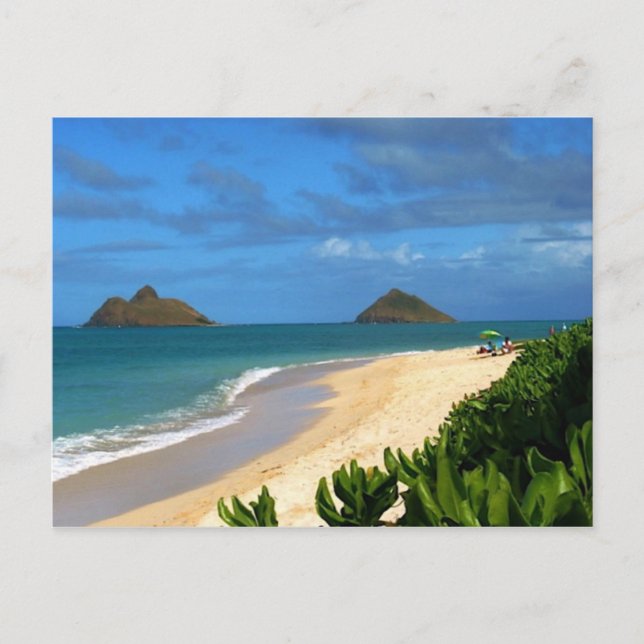Lanikai, Hawai'i Postcard (Front)
