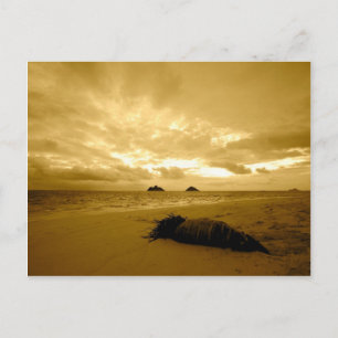 Lanikai Sunrise postcard