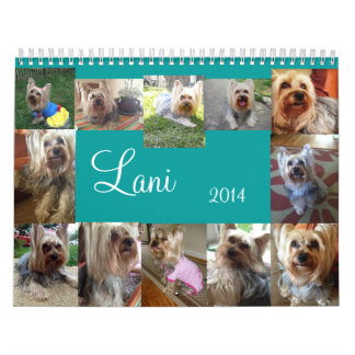 Lanis 2014 Calendar