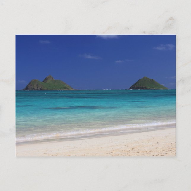 Lankai Beach hawaii Postcard (Front)