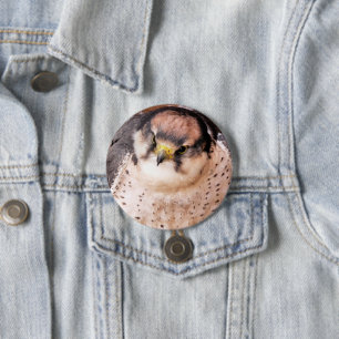 LANNER FALCON 7.5 CM ROUND BADGE