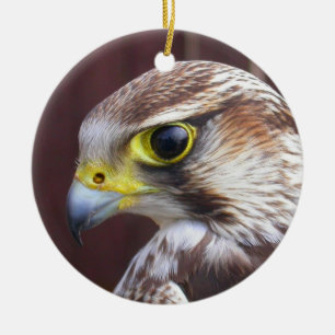 Lanner Falcon Ceramic Tree Decoration
