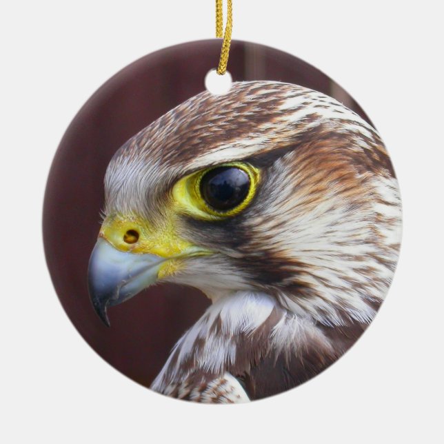 Lanner Falcon Ceramic Tree Decoration (Front)
